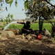 A pump draws water into a farm in Egypt's Nile Delta.